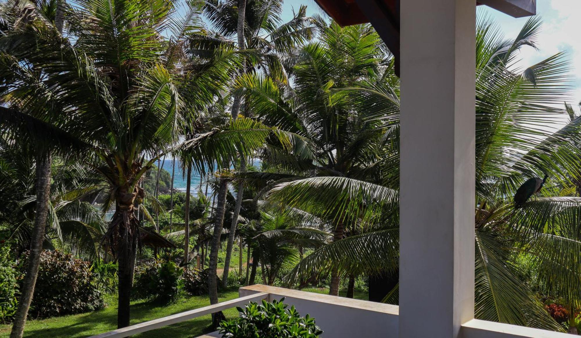 Singhe House Hotel Dickwella Exterior photo