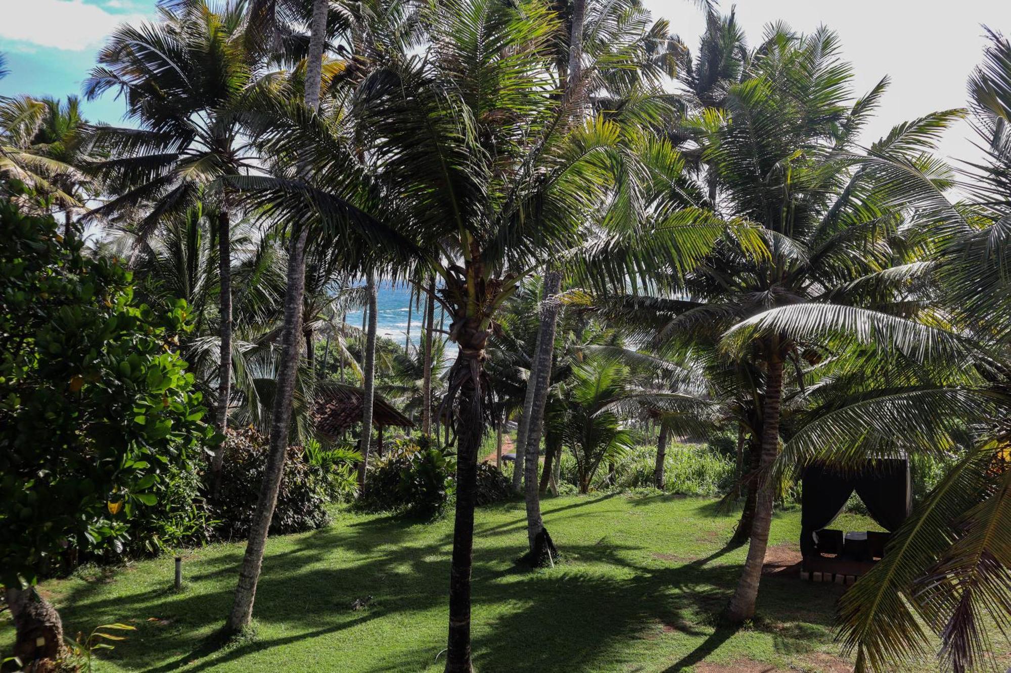 Singhe House Hotel Dickwella Exterior photo